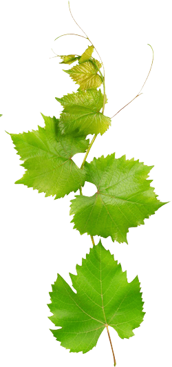 ikhodalinternational.com