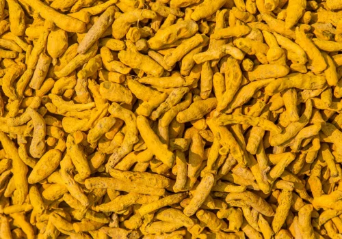 Priksha Global Trade